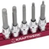 KRAFTWERK XZN-Bit-Stecknusssatz MAGALU 1/2" 5 Teile -Kraftwerk Verkäufe 9991023 338099 720x600